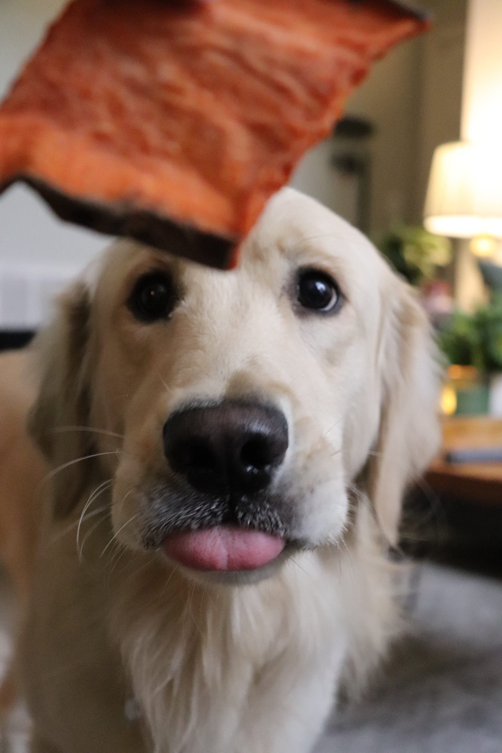 All-Natural Sweet Potato Chews | Single Ingredient | Made in the USA